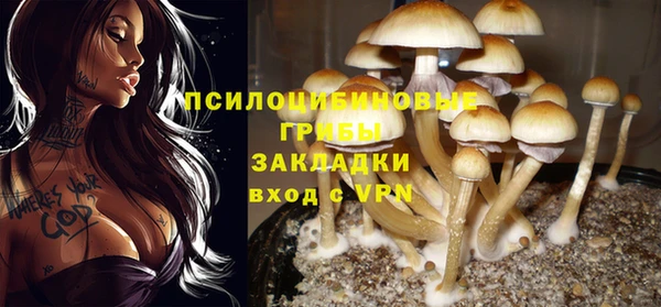 винт Абинск